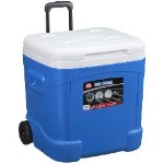 Medium Cooler  image - Jacksonville, FL