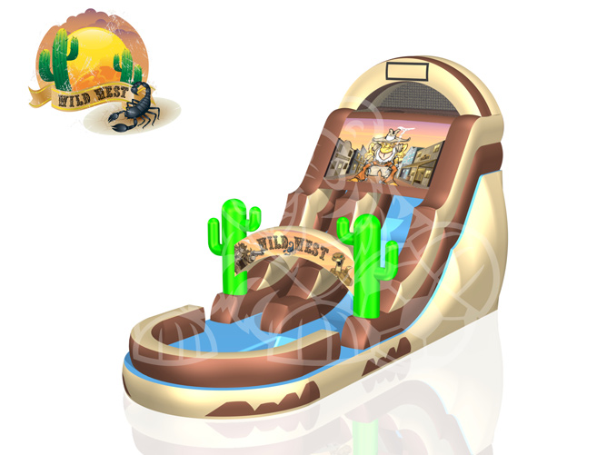 Western Theme Water Slide  WET or DRY image - Jacksonville, FL